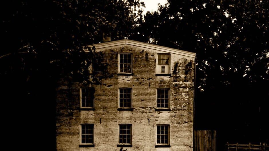 8/8/88 Needle AL banner