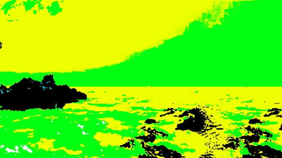 Dolphin Hustle banner