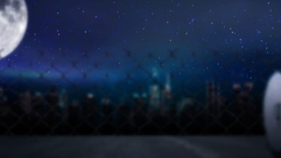 Raccoon Tales banner
