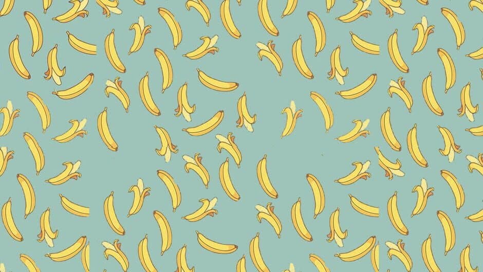 Monkey Adventure banner