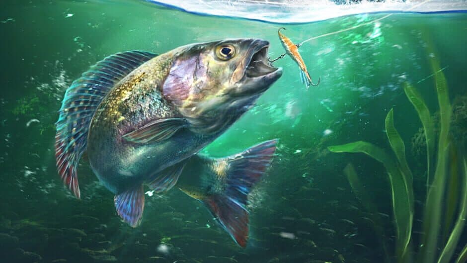 Ultimate Fishing Simulator 2 banner