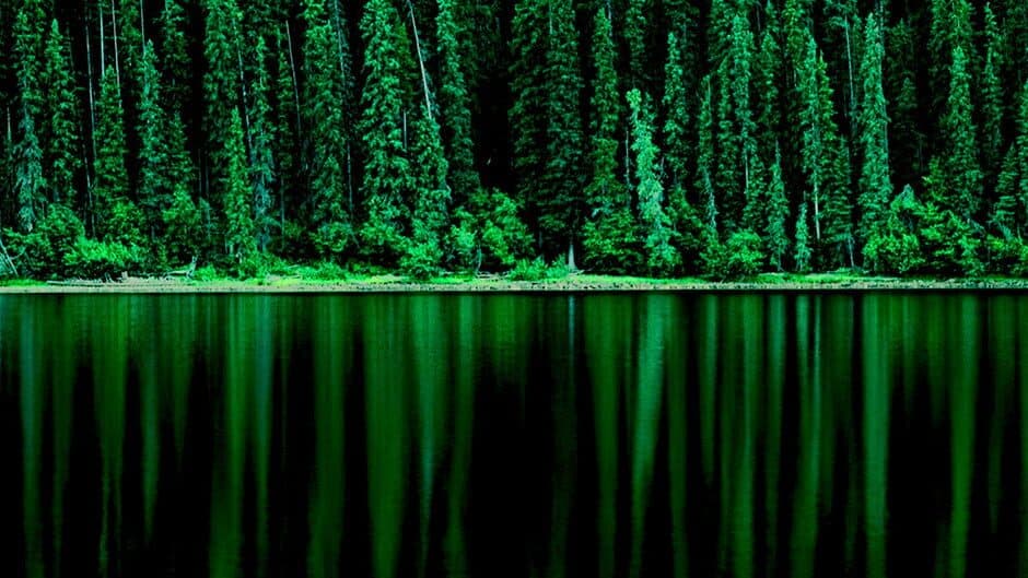 Doudas Danger banner