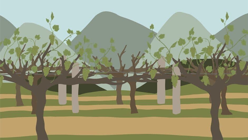 The Wine Story banner
