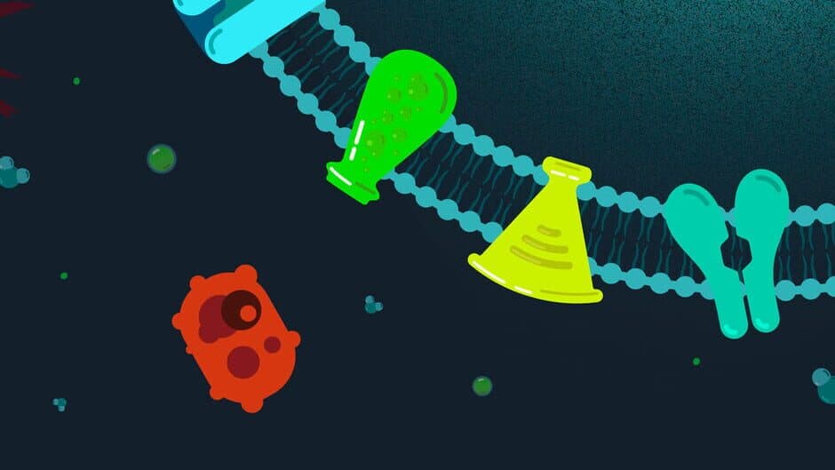 Life on the Edge banner