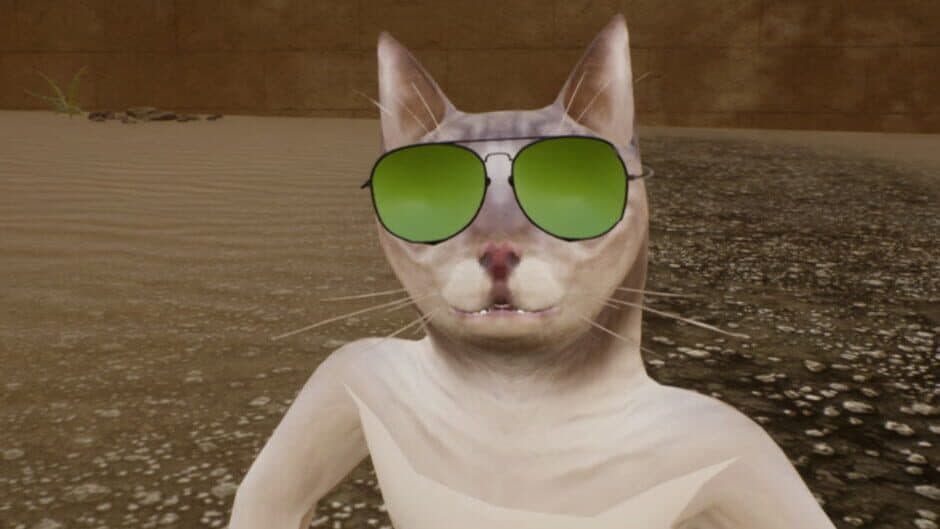 Simba the Cat banner