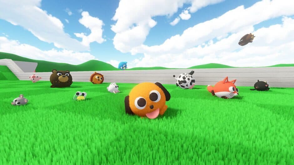 FurBalls Racing banner