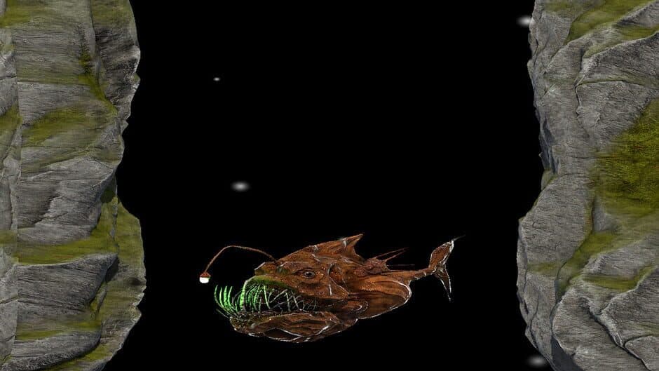 Midnight Zone banner