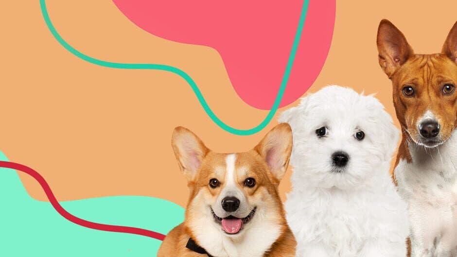 I Love Finding More Pups banner