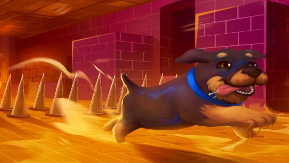 Sokorun: One Box banner