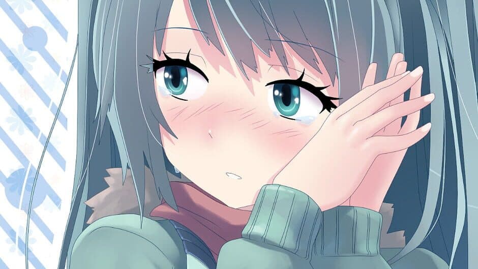 BlueberryNova banner