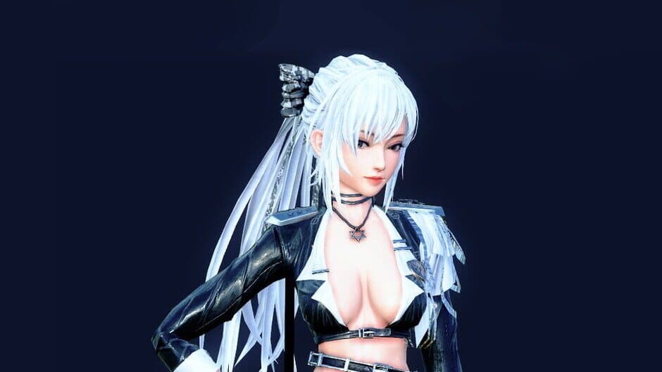 Lady and Blade banner