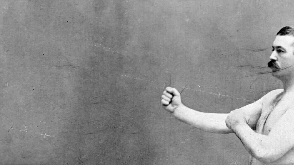 BVOVB: Bruising Vengeance of the Vintage Boxer banner