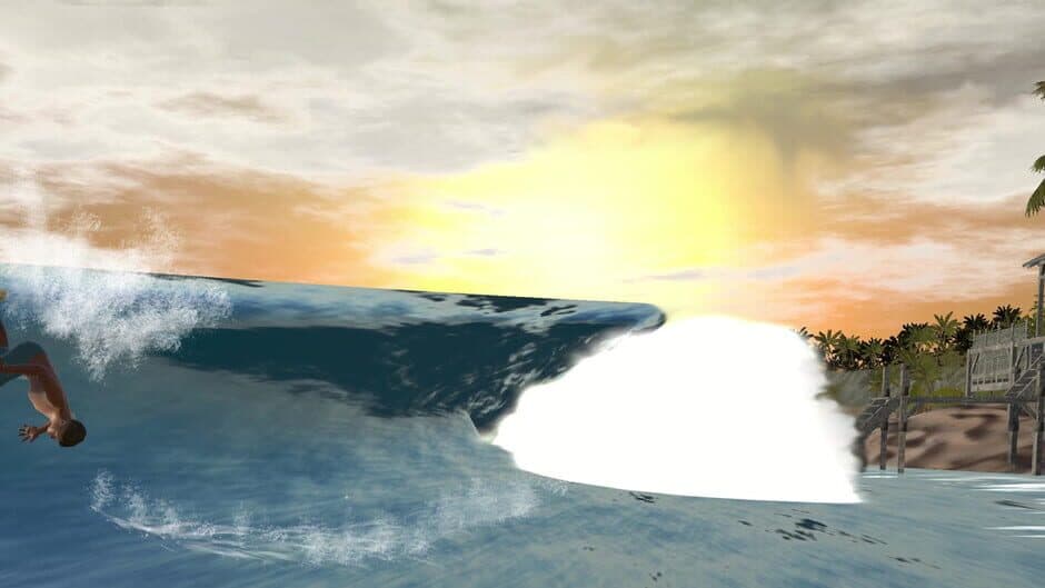 The Endless Summer: Search For Surf banner