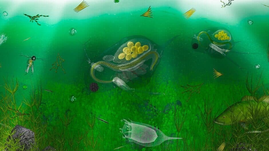 The Aquatic Messenger banner