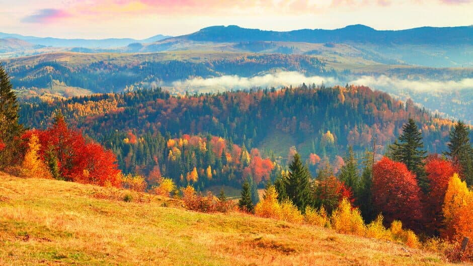 Nature & Wildlife: Jigsaw Puzzle banner