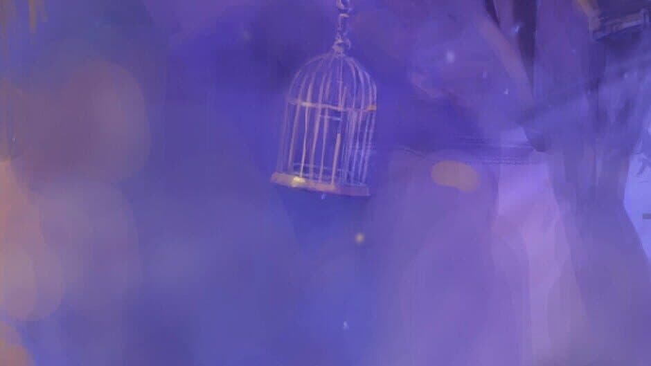 Fill & Cross: Pirate Riddles 3 banner