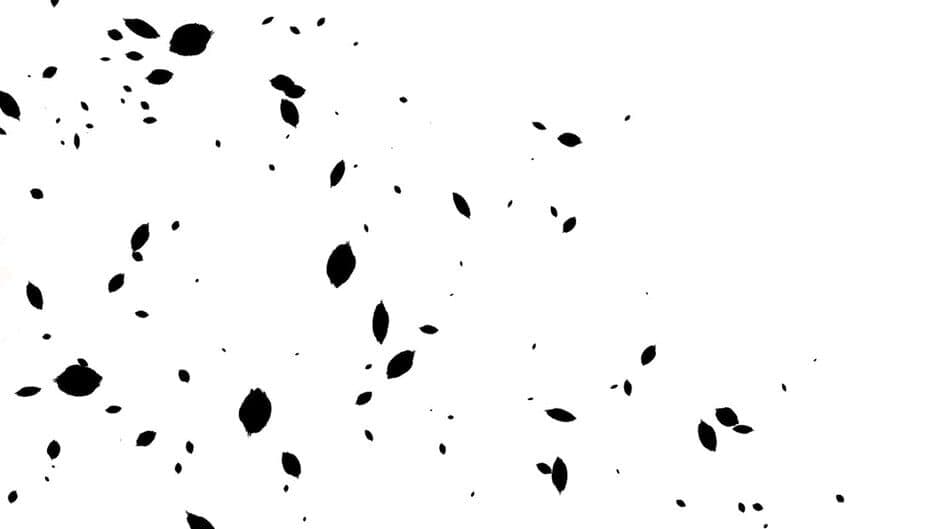 Calamity Creatures banner