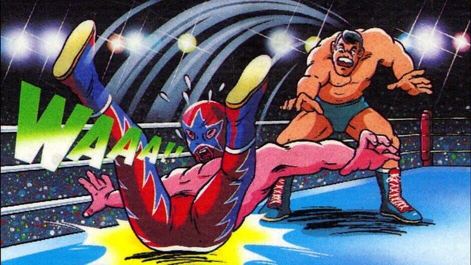 Pro Wrestling banner