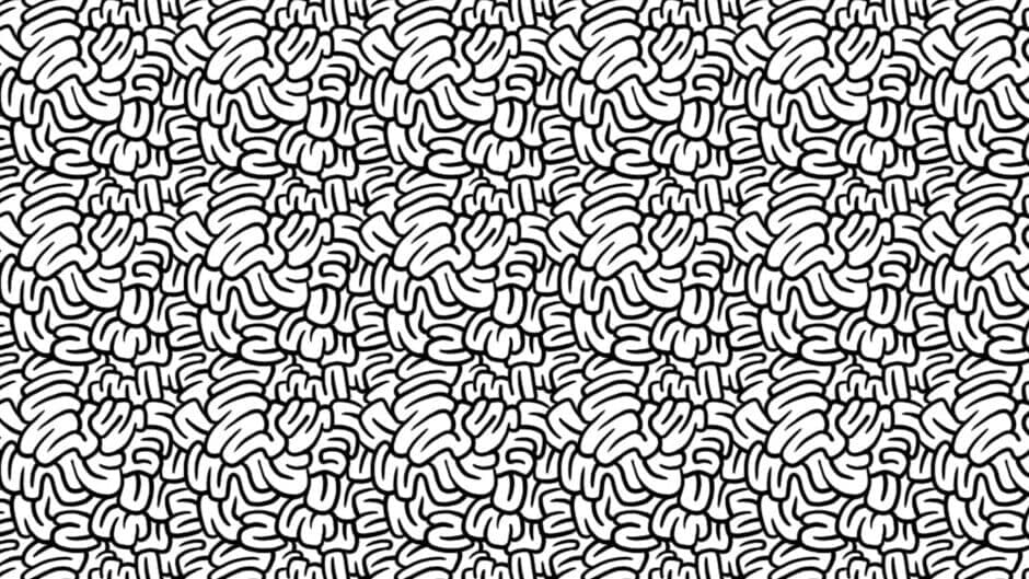 1000 Hidden Snails banner
