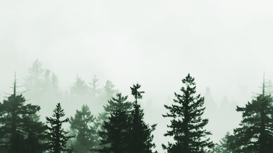 The Fernweh Saga: Book One banner