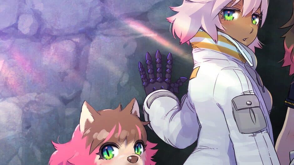 Doll Explorer banner