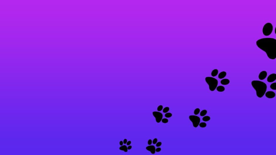 Roxy Raccoon 2: Topsy-Turvy banner