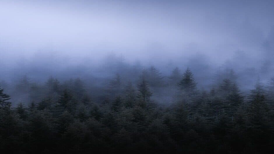 Tusk of Spirit banner