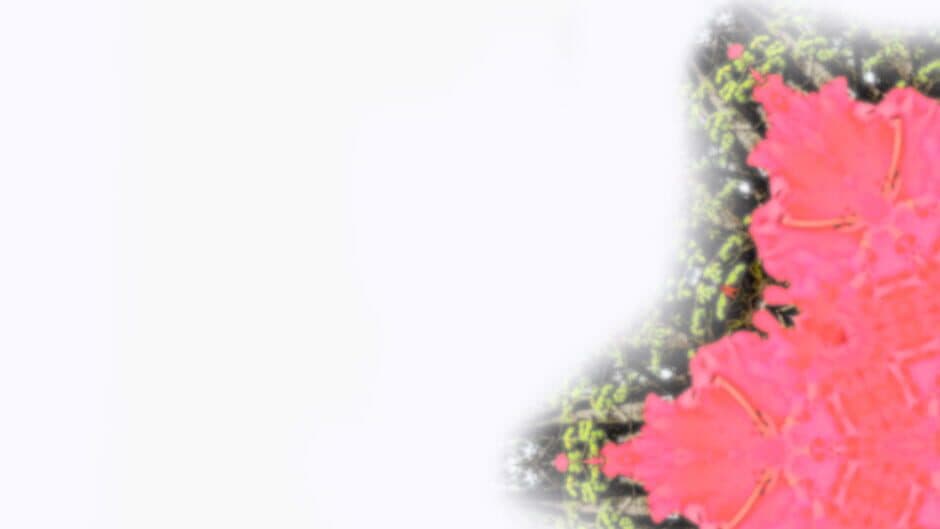 Operation F.A.T.E. banner