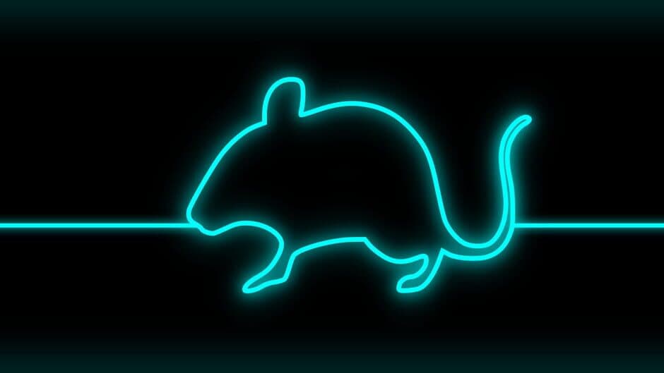 Whiskers & Tail banner