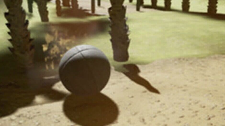 Finnish Roller banner