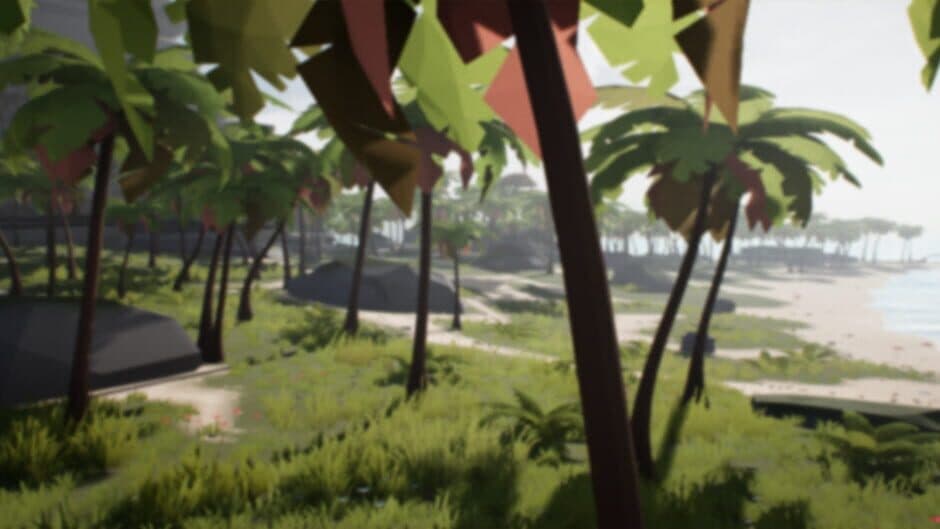 The Pirate King banner