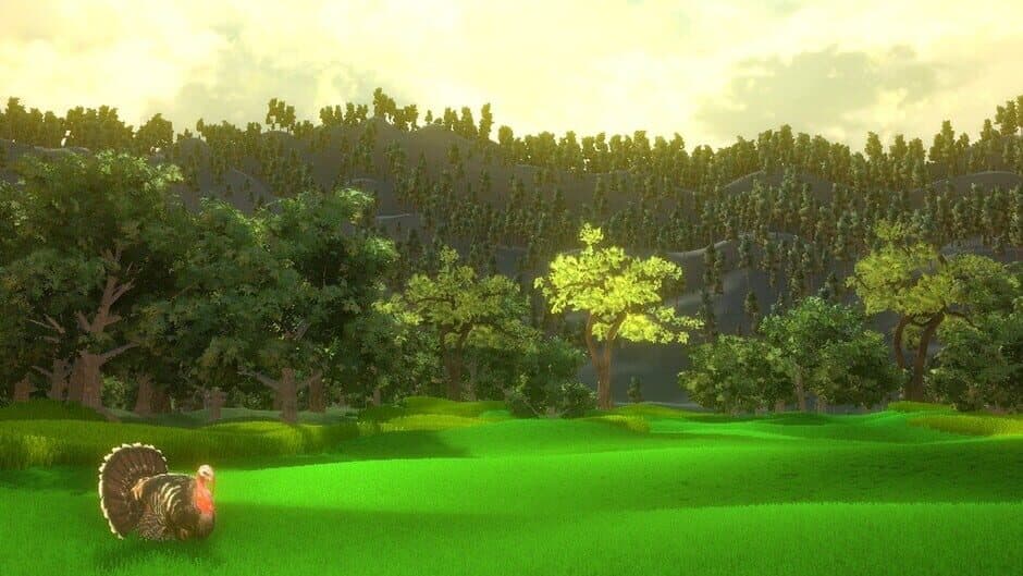 Turkey Hunting Unlimited banner