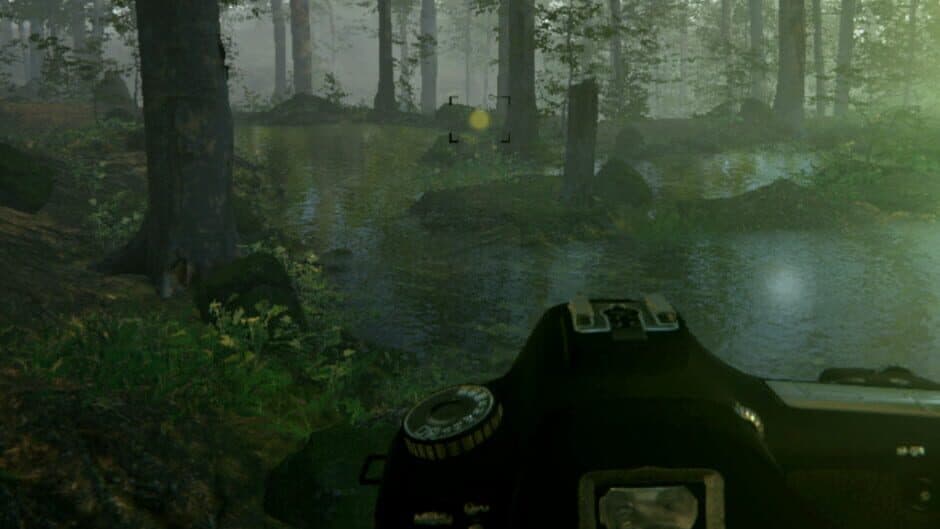 Naturalist Stories banner