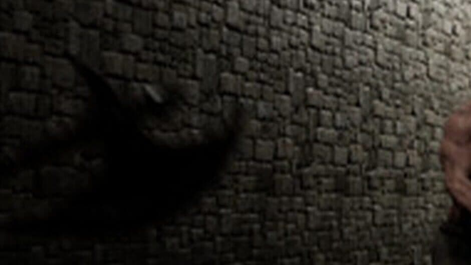 The Warrior of Treasures 2: Skull Hunter banner