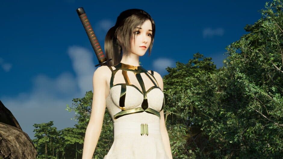 Princess & Blade banner