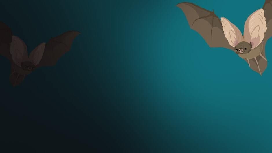 The Bat Quiz banner