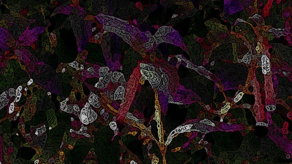 Susurye of Shadows banner