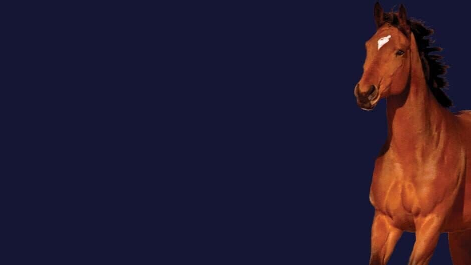 Stroke the Horse banner