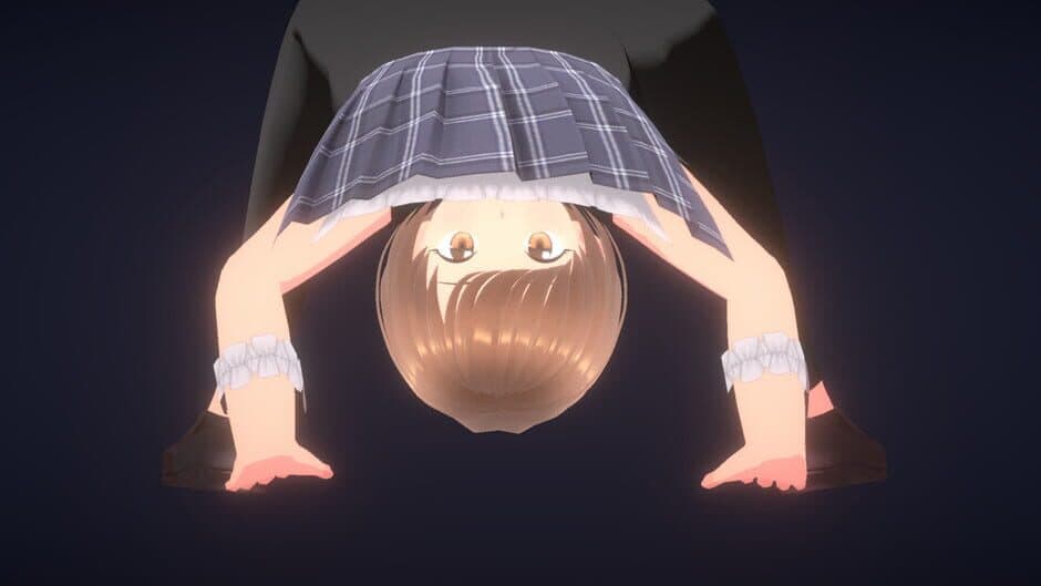 Reverse Woman of Human Ball banner