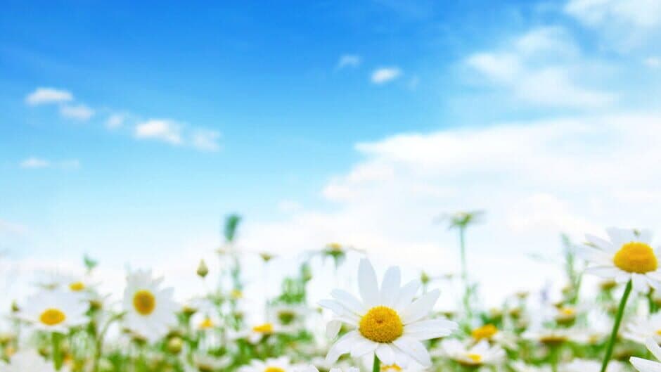 Nature Escapes 2 banner