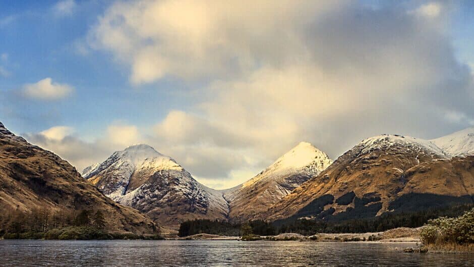 Multiplayer Knights banner