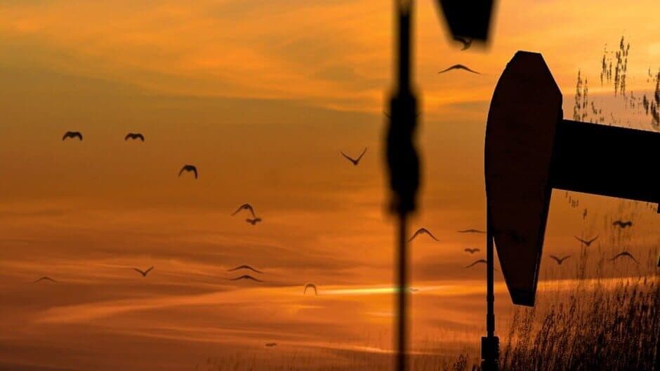 Black Gold banner