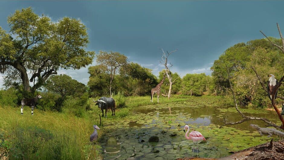 Hidden Animals: Photo Hunt banner