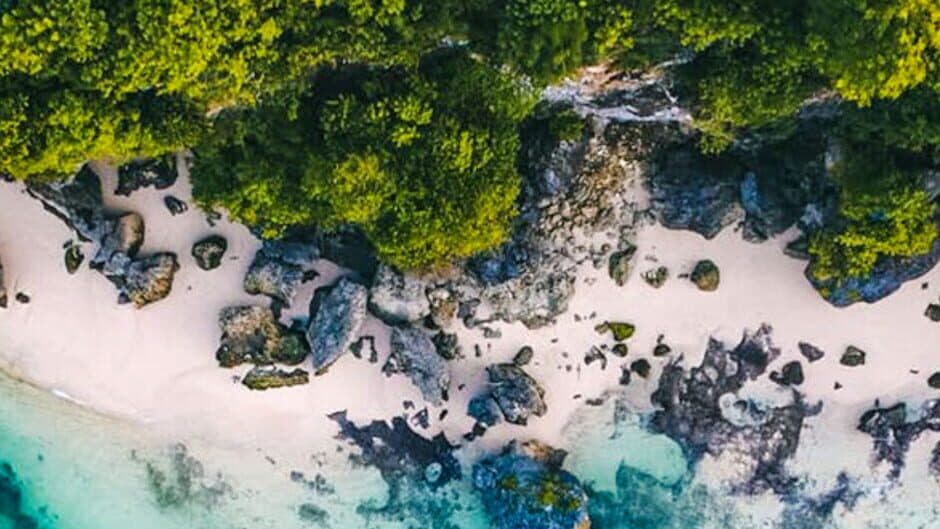 Mystery of Camp Enigma 2 banner