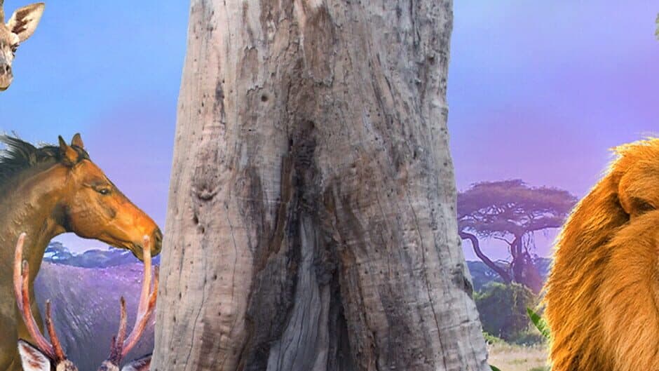 Animal Kingdom banner