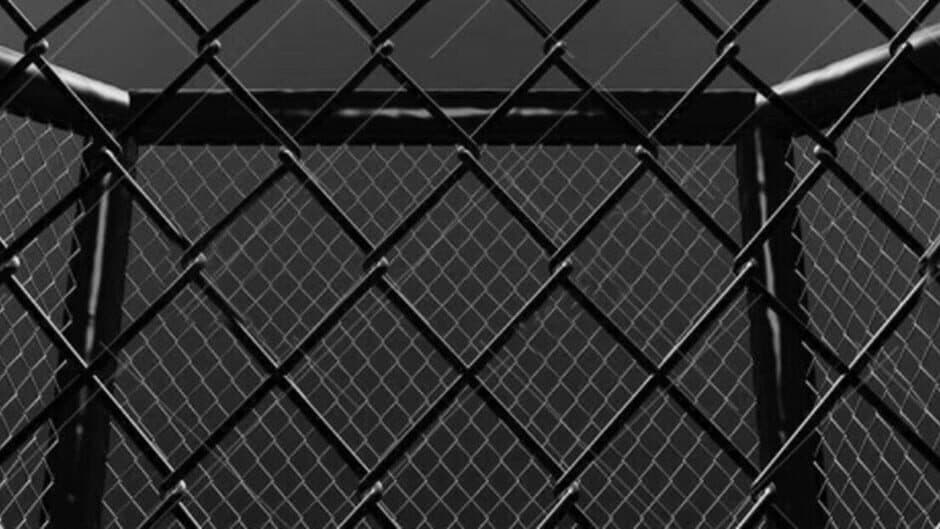 Weekend Warriors MMA banner