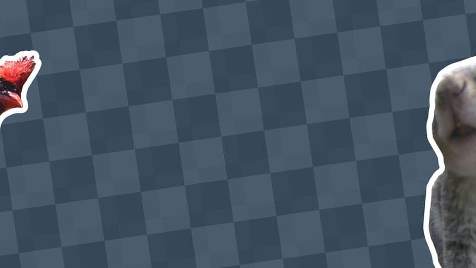 Squirrel Launcher banner