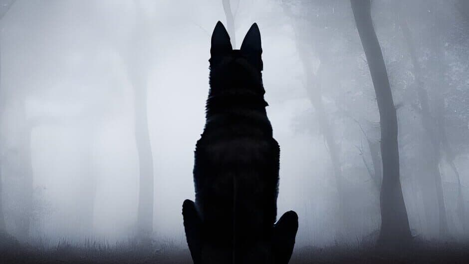 Out of Nowhere banner