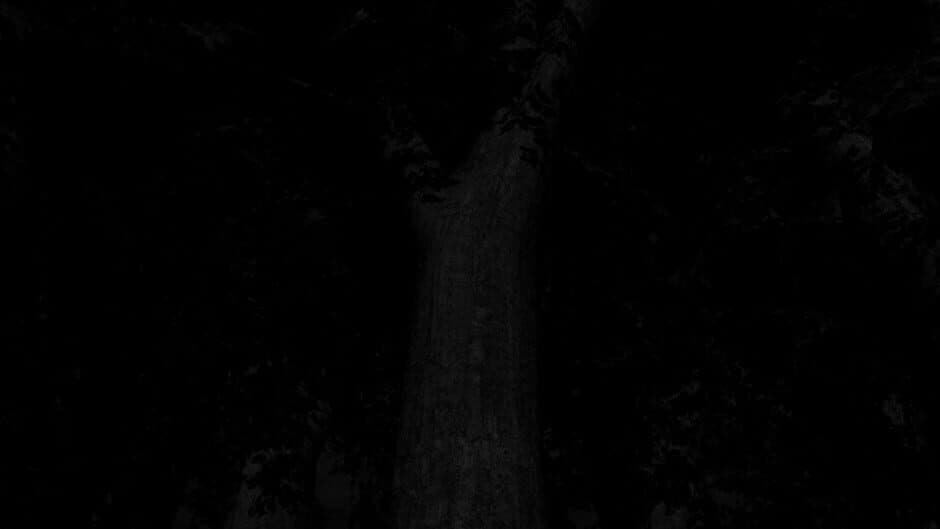 Labyrinthian: Lost 'til Dawn banner