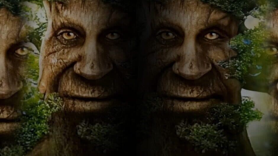 The Meme Hunter banner